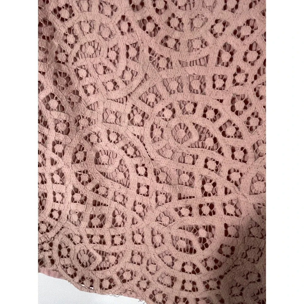 J Crew Women Lace Top 3/4 Sleeve Button Back Sheer Lined Boho Feminine Pink Sz 6